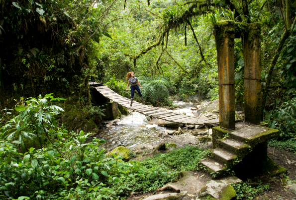 Jungle Bridge in Valle de Cocora by Diego Cupolo on Flickr